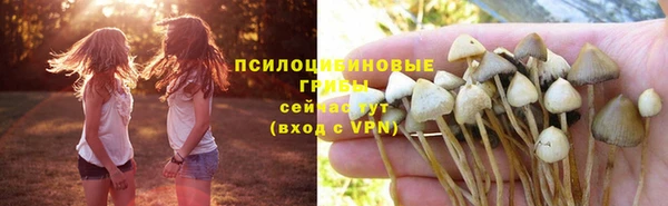 соль ск Балахна