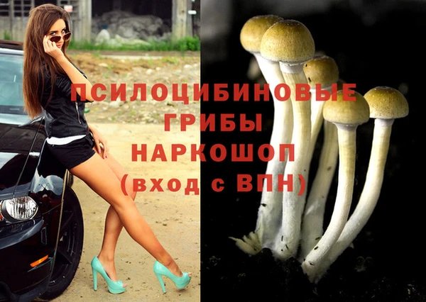 спиды Баксан