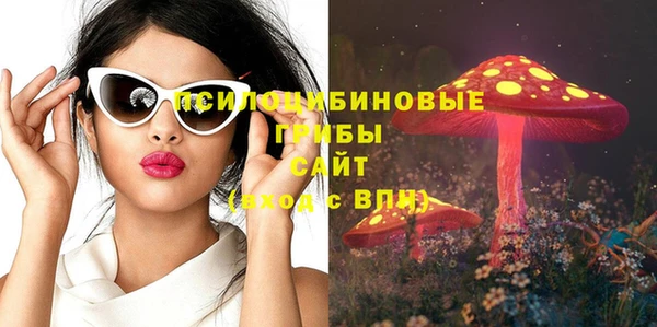 соль ск Балахна