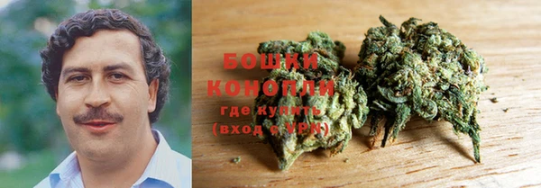 дмт Покачи